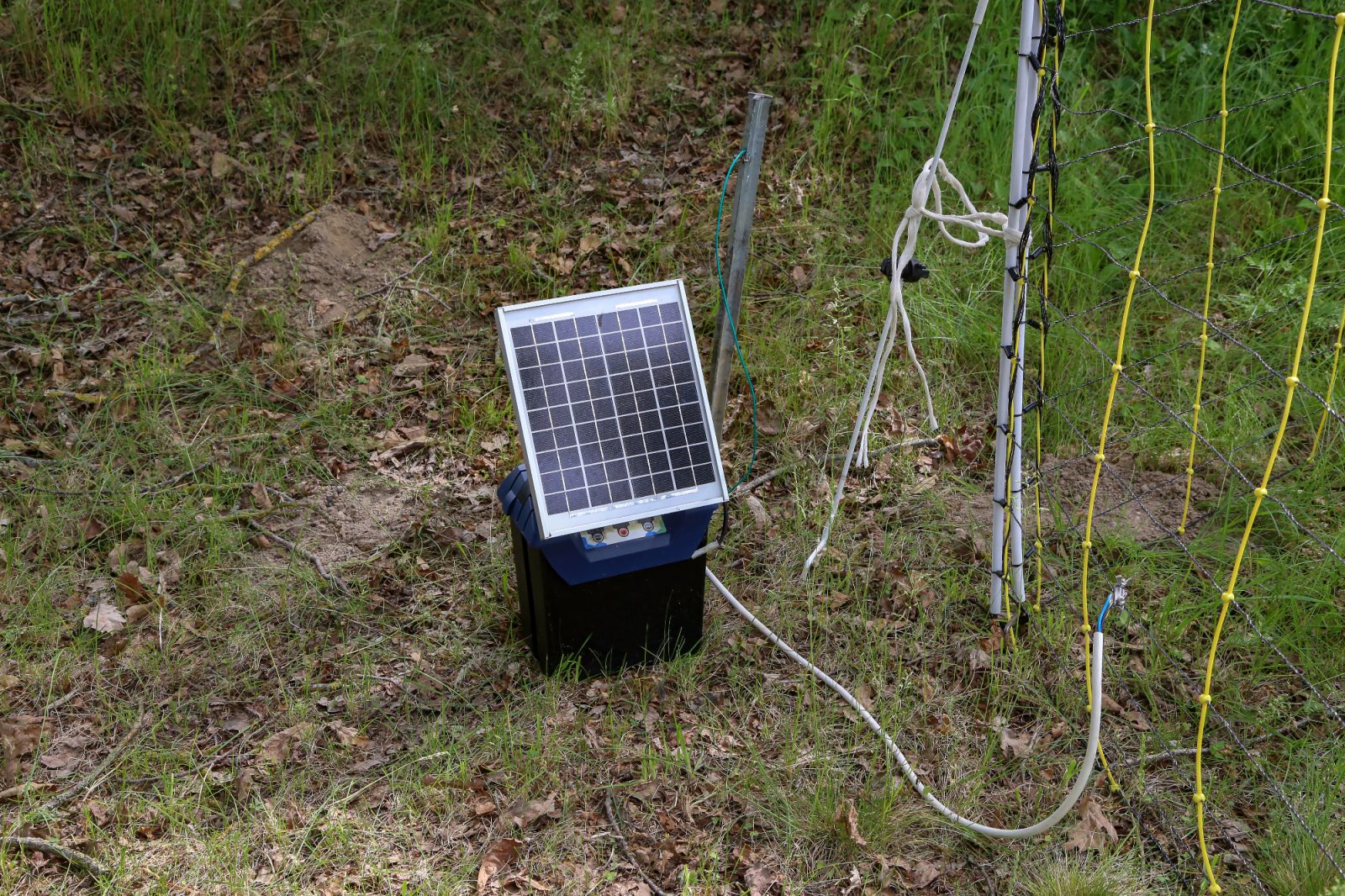 Električni pastir je odlična vrsta ograje